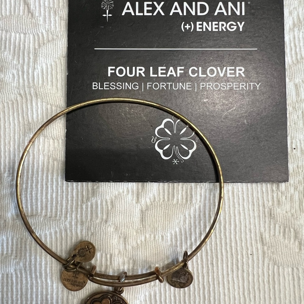 Alex and Ani Gold Expandable Bangle Bracelet